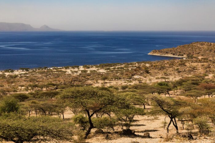 Addis Ababa to Langano Tour : Peaceful Lakeside Escape